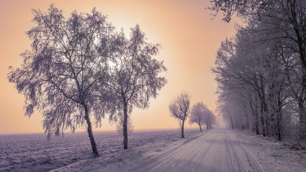 landscape winter snow free photo