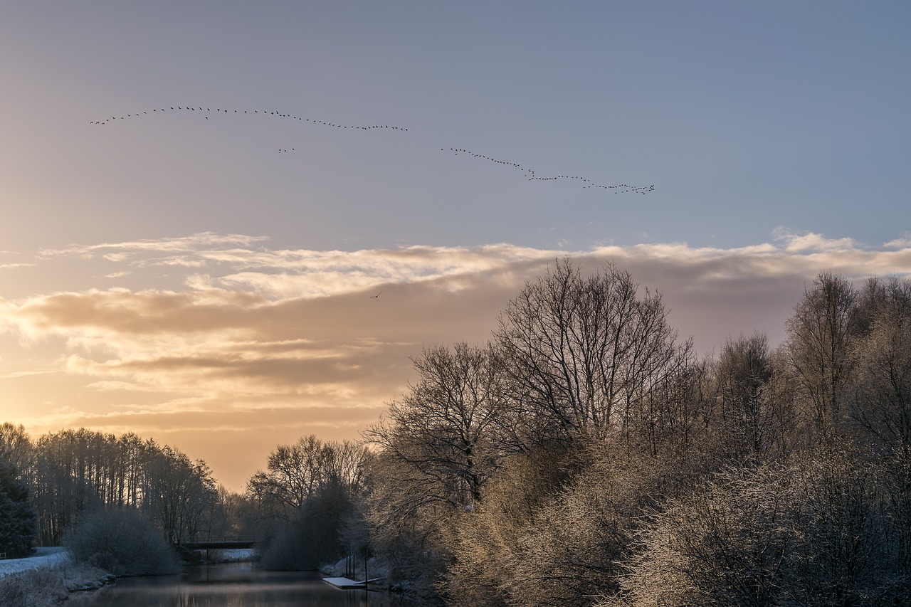 landscape sunrise skies free photo