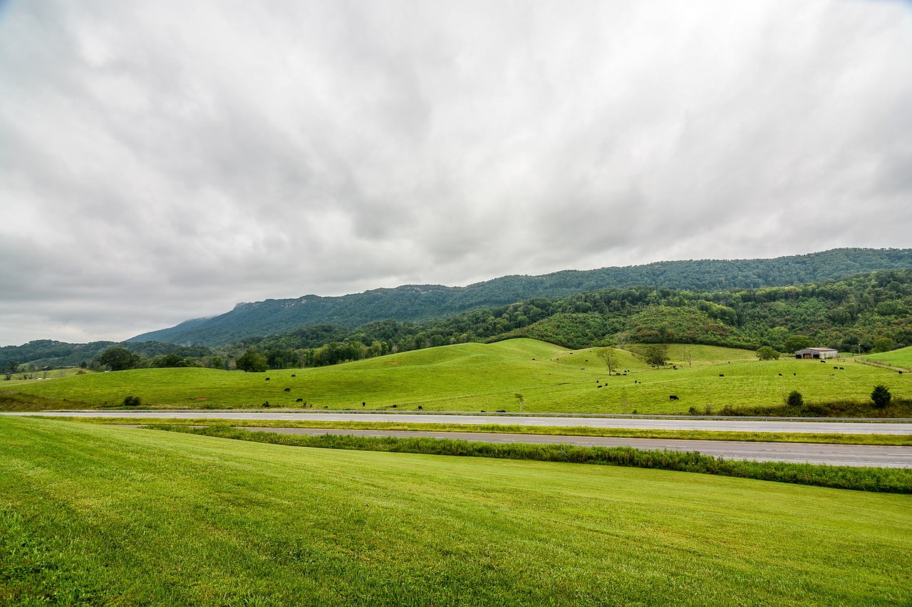 landscape clouds green free photo