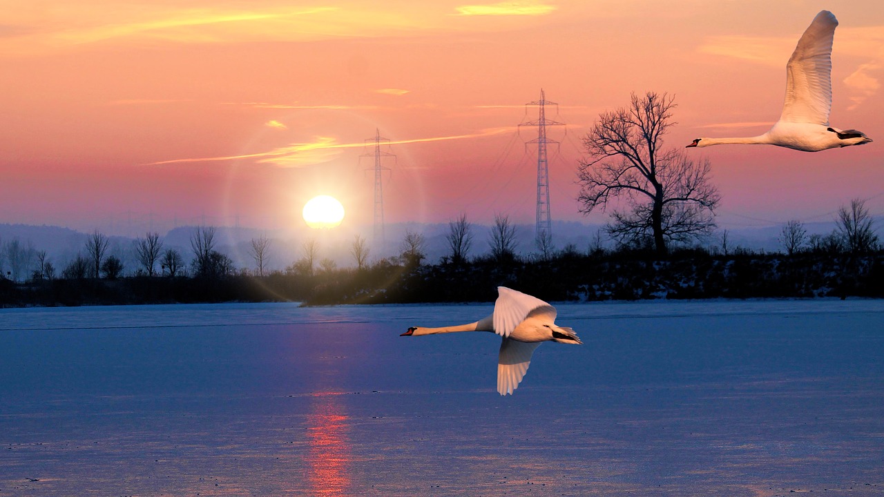 landscape lake sunrise free photo