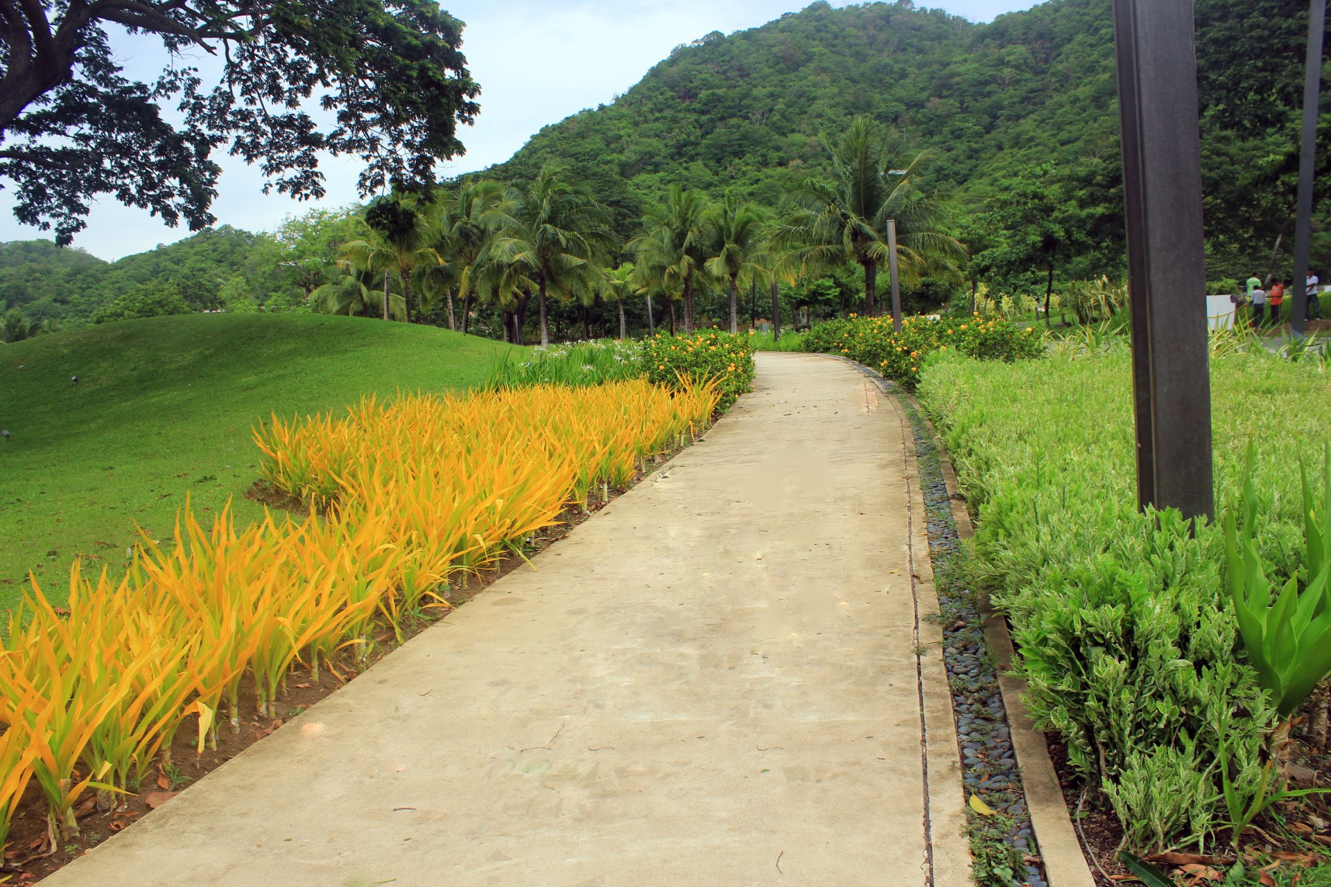 landscape path road free photo