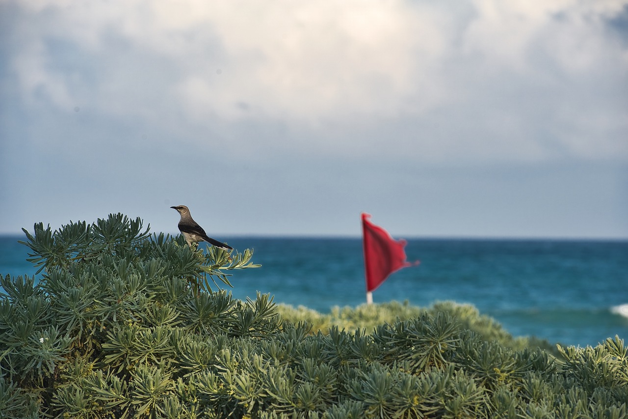 landscape beach sea free photo