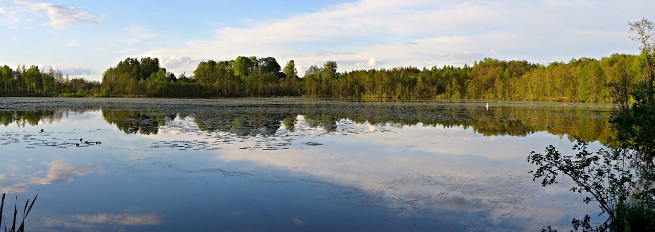 landscape scenic reflection free photo