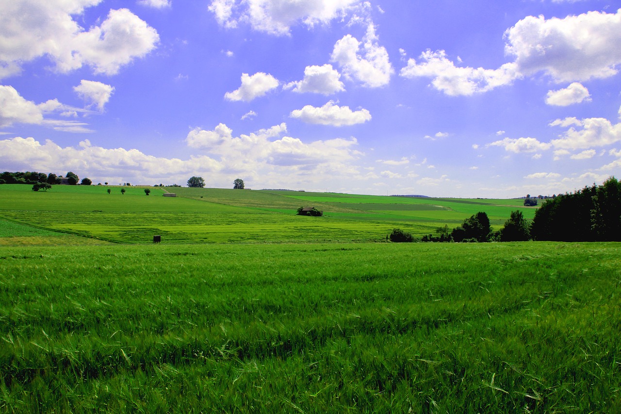 landscape meadow horizon free photo