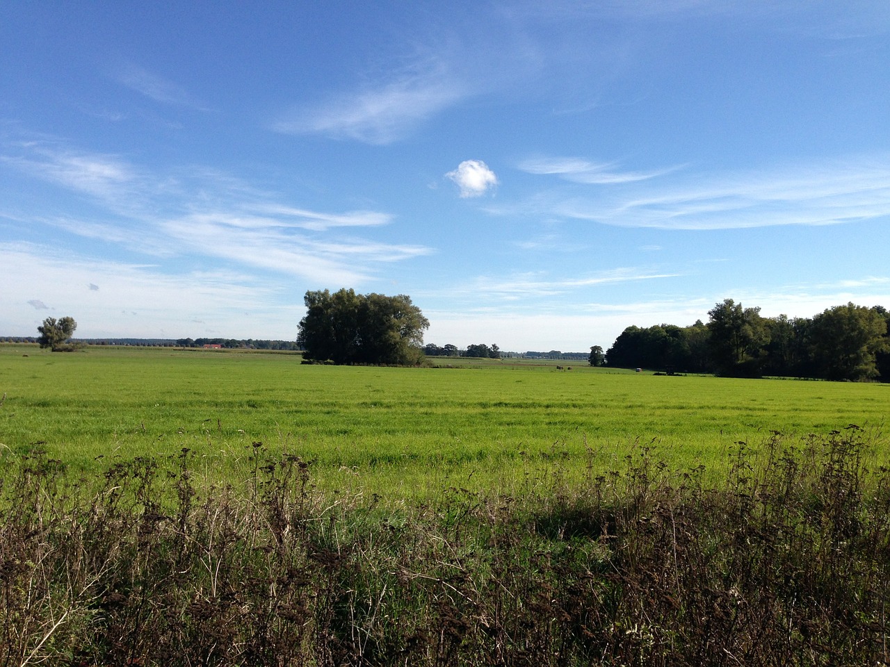 landscape meadow sky free photo