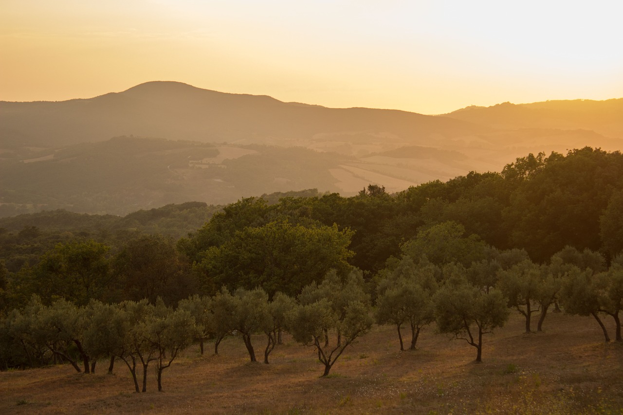 landscape italy tuscany free photo