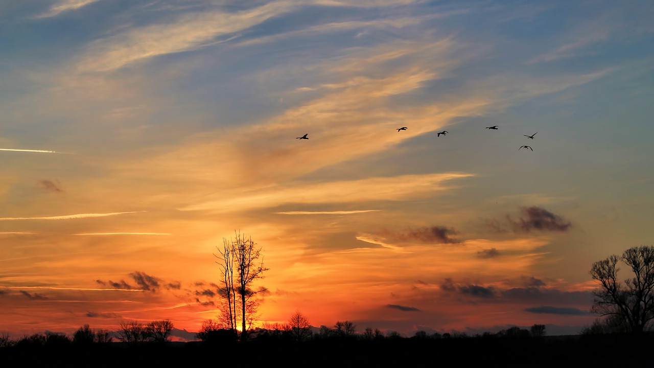 landscape sunset twilight free photo