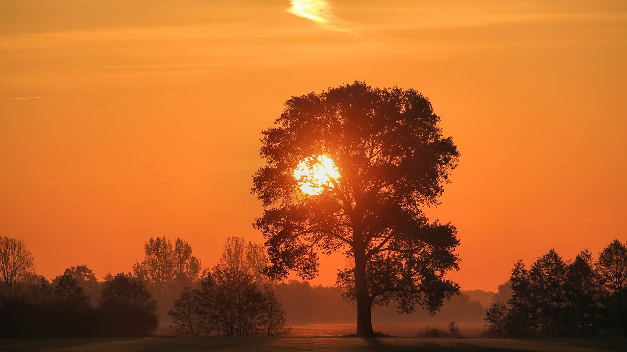 landscape sunset twilight free photo