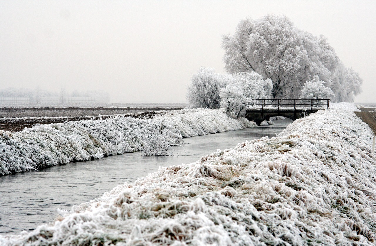 landscape winter field free photo