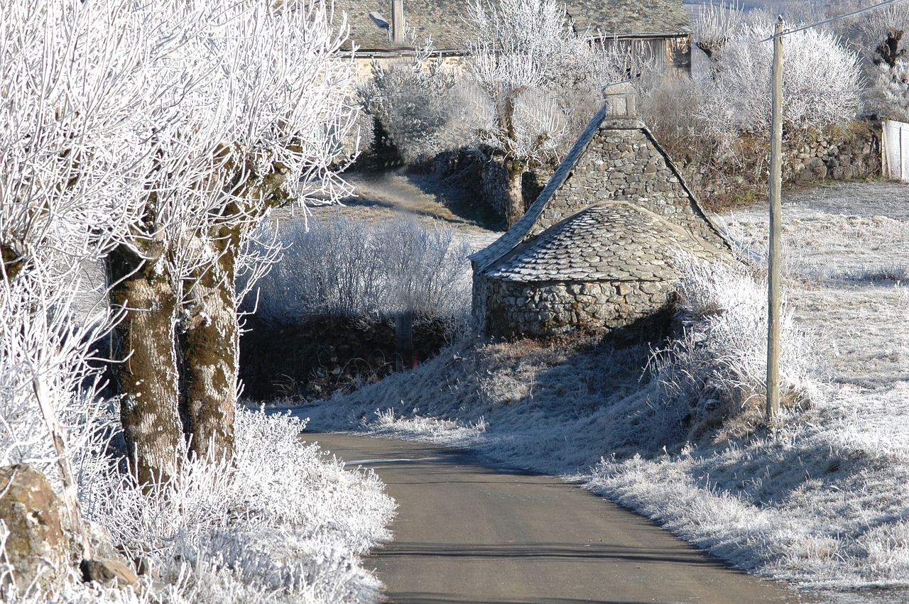 landscape winter hoarfrost free photo
