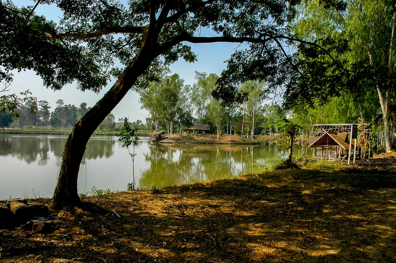 landscape lake trees free photo