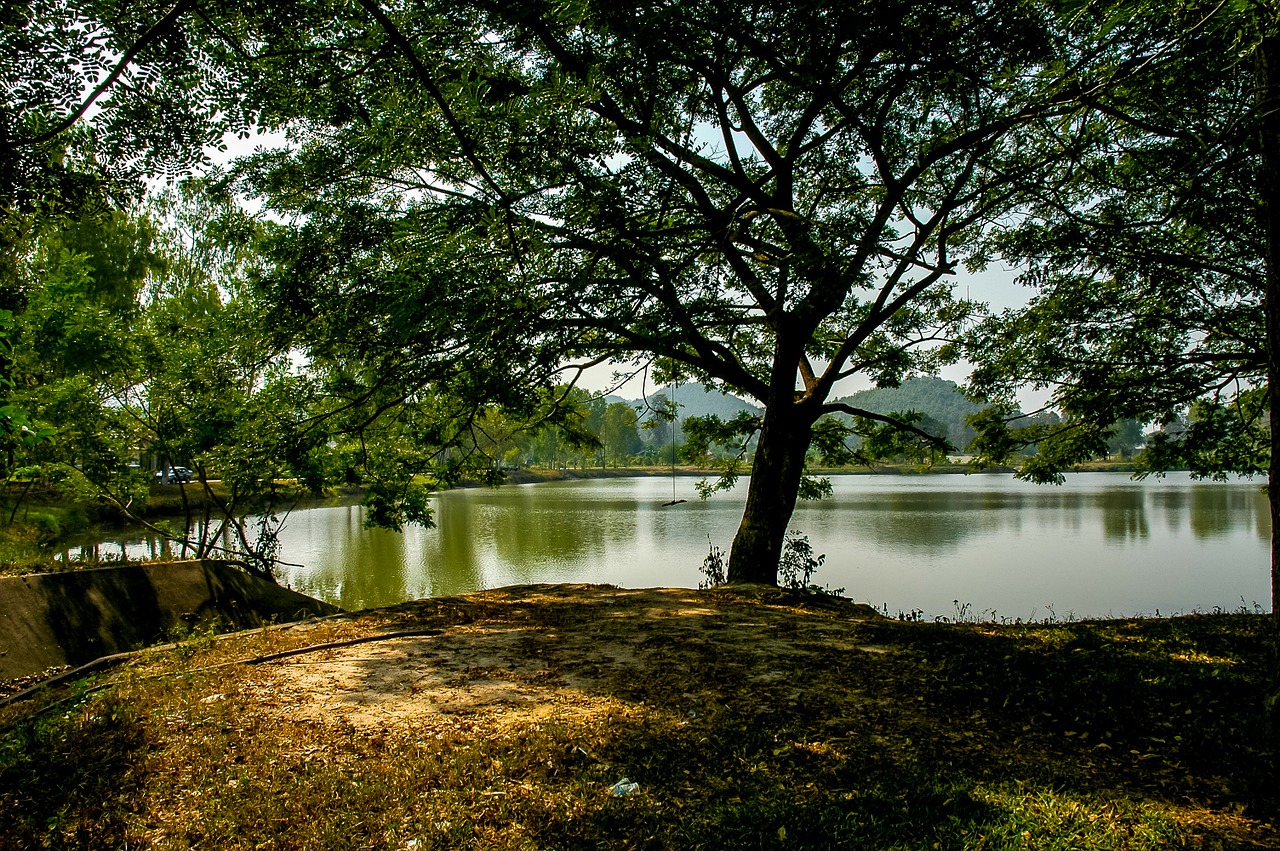 landscape lake trees free photo