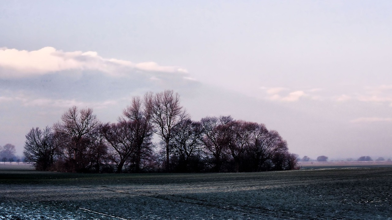 landscape winter snow free photo