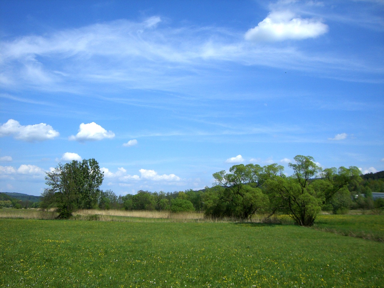 landscape summer nature free photo