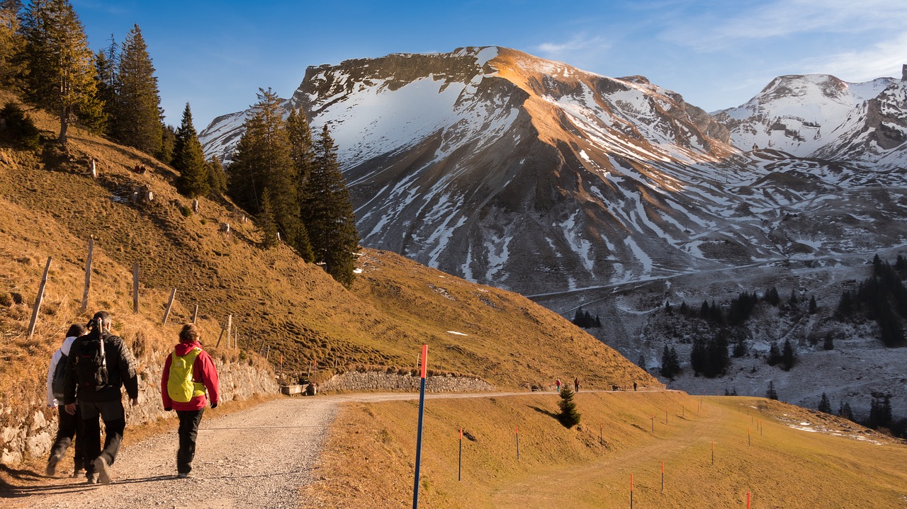 landscape winter wintry free photo