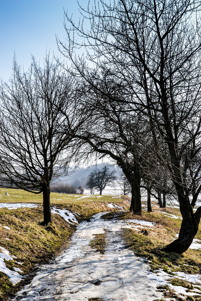 landscape snow path free photo