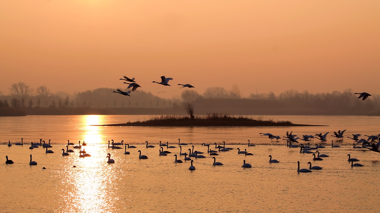 landscape winter morning sun free photo