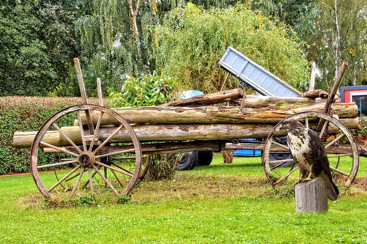 landscape cart bird free photo