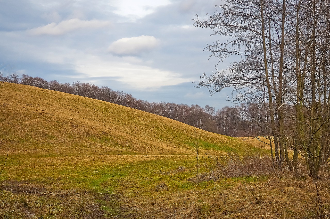 landscape nature meadow free photo