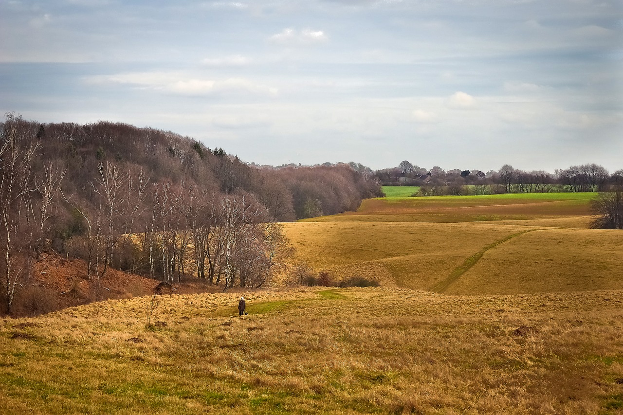 landscape nature meadow free photo