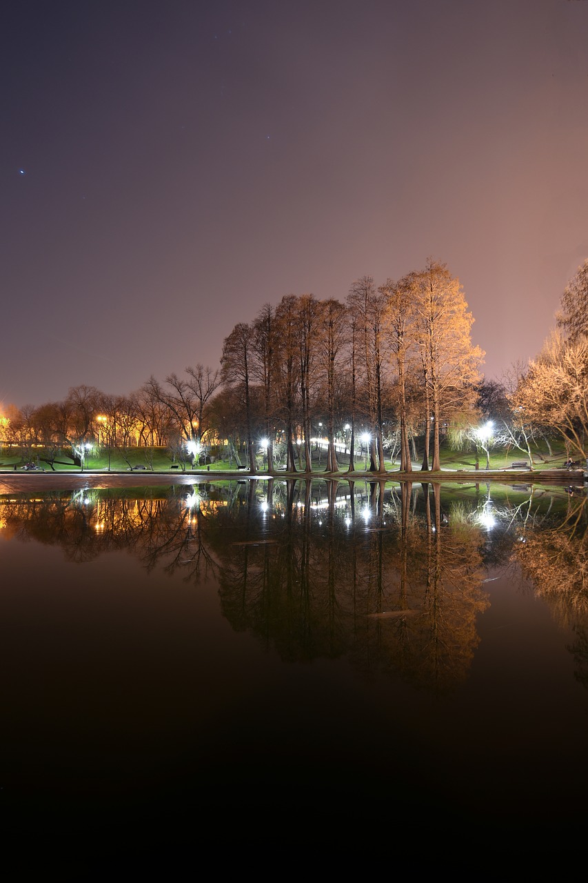 landscape light night free photo