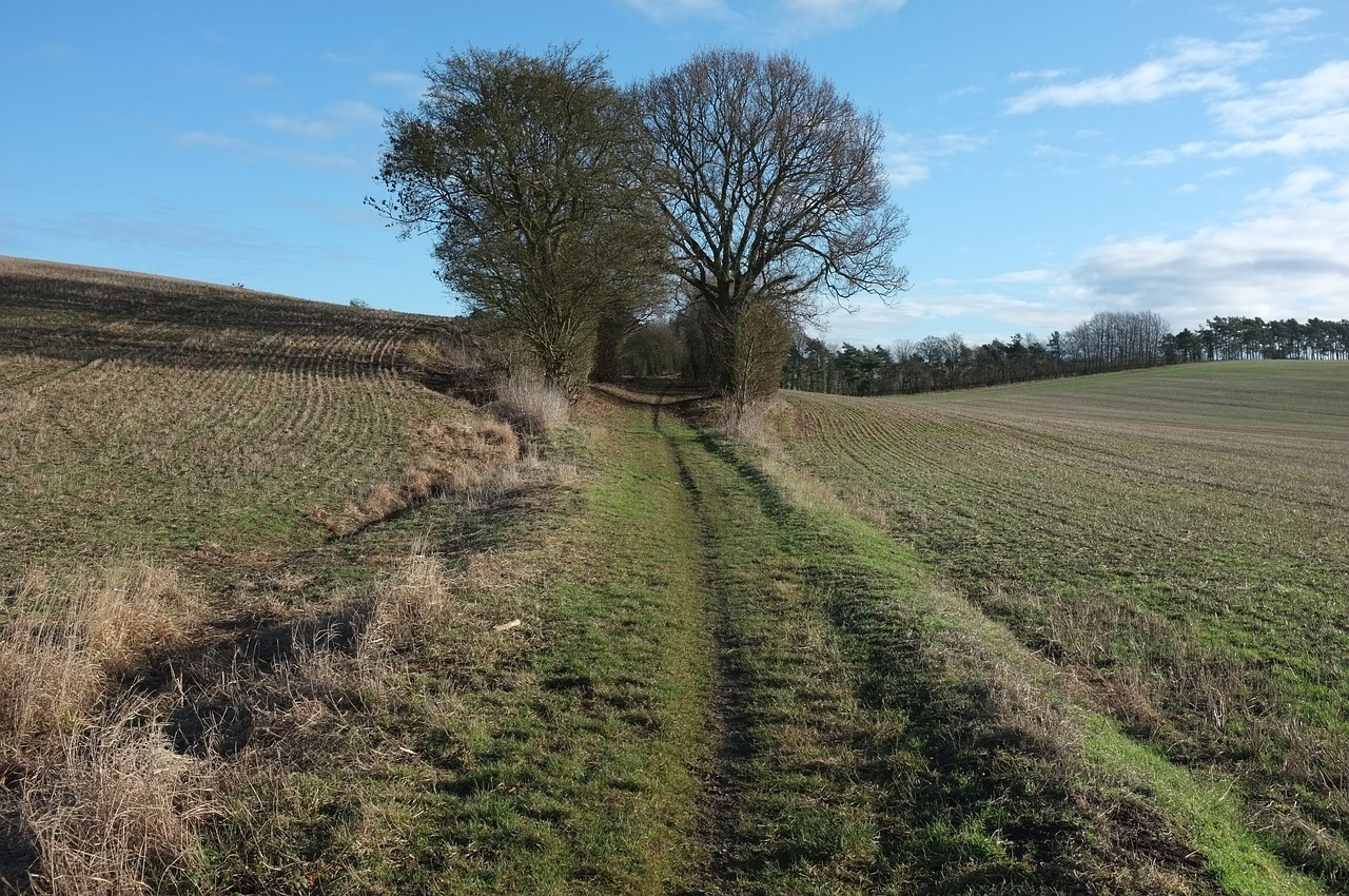 landscape lane country free photo