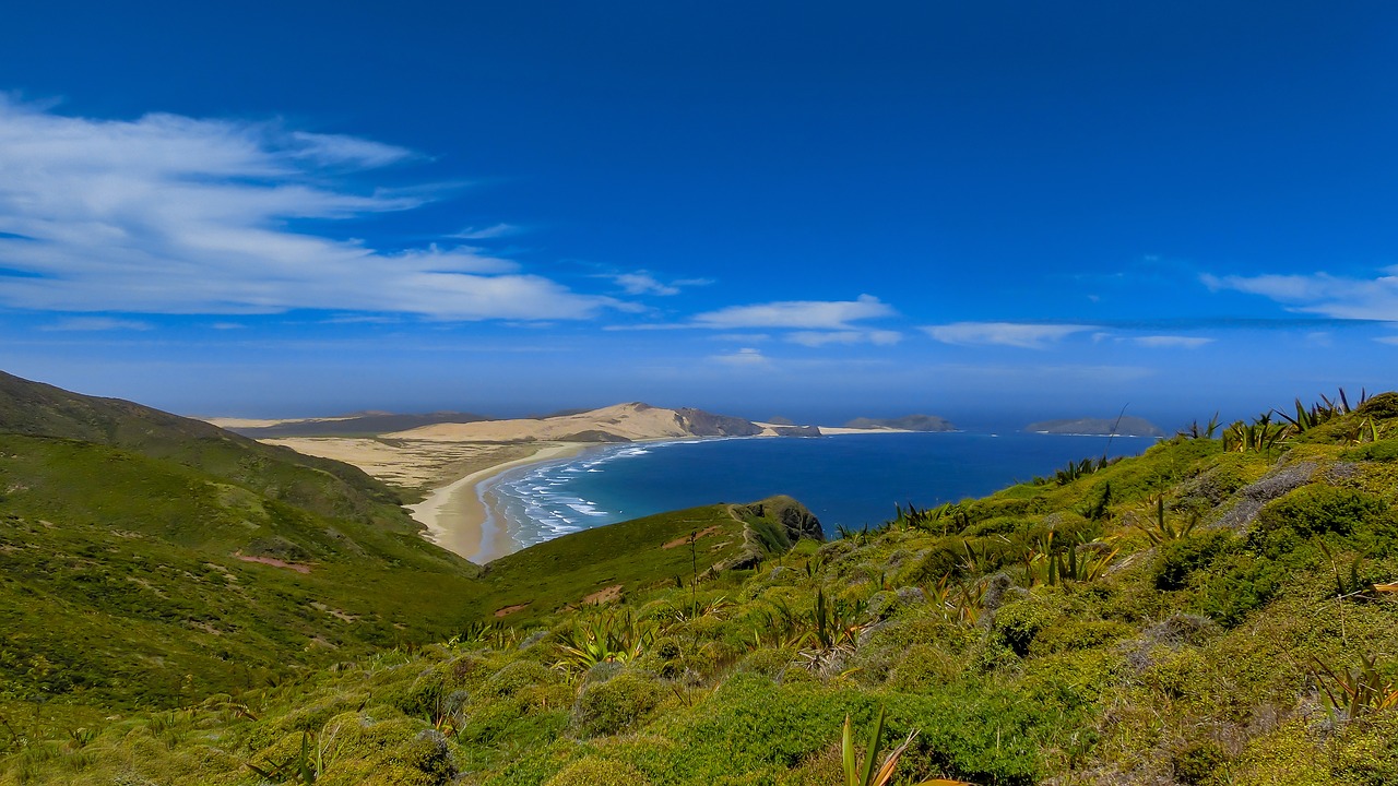 landscape beach coast free photo