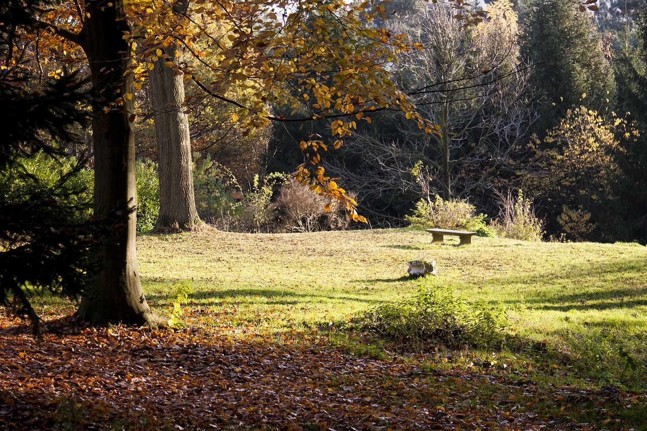 landscape fall trees free photo