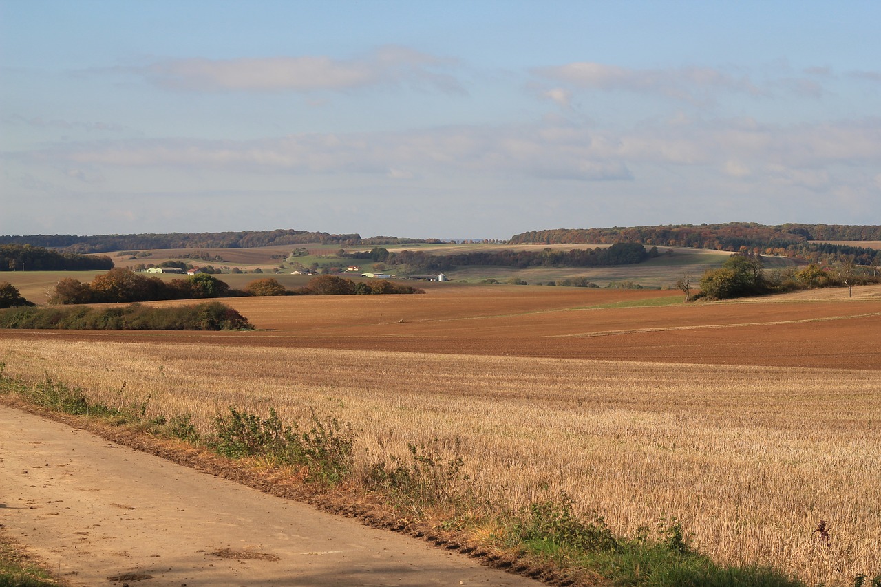 landscape fields harvest free photo