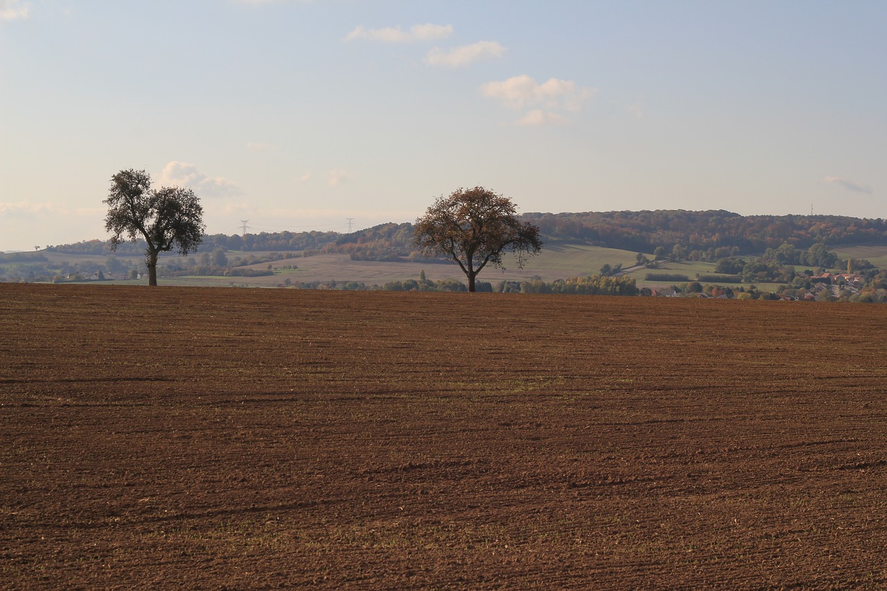 landscape fields harvest free photo