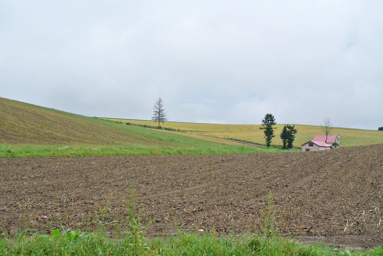 landscape natural hokkaido free photo