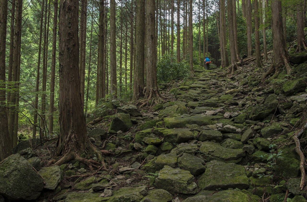 landscape japan kumano ancient road free photo