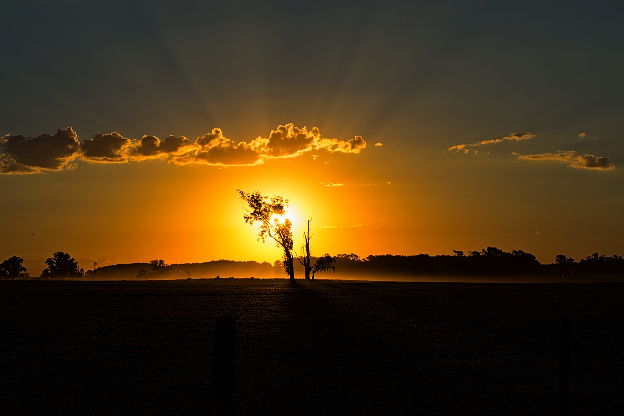 landscape sun field free photo