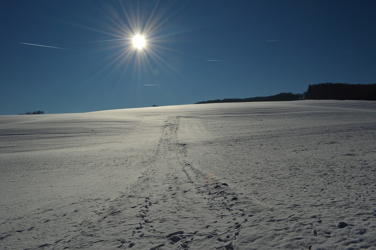 landscape wintry winter magic free photo