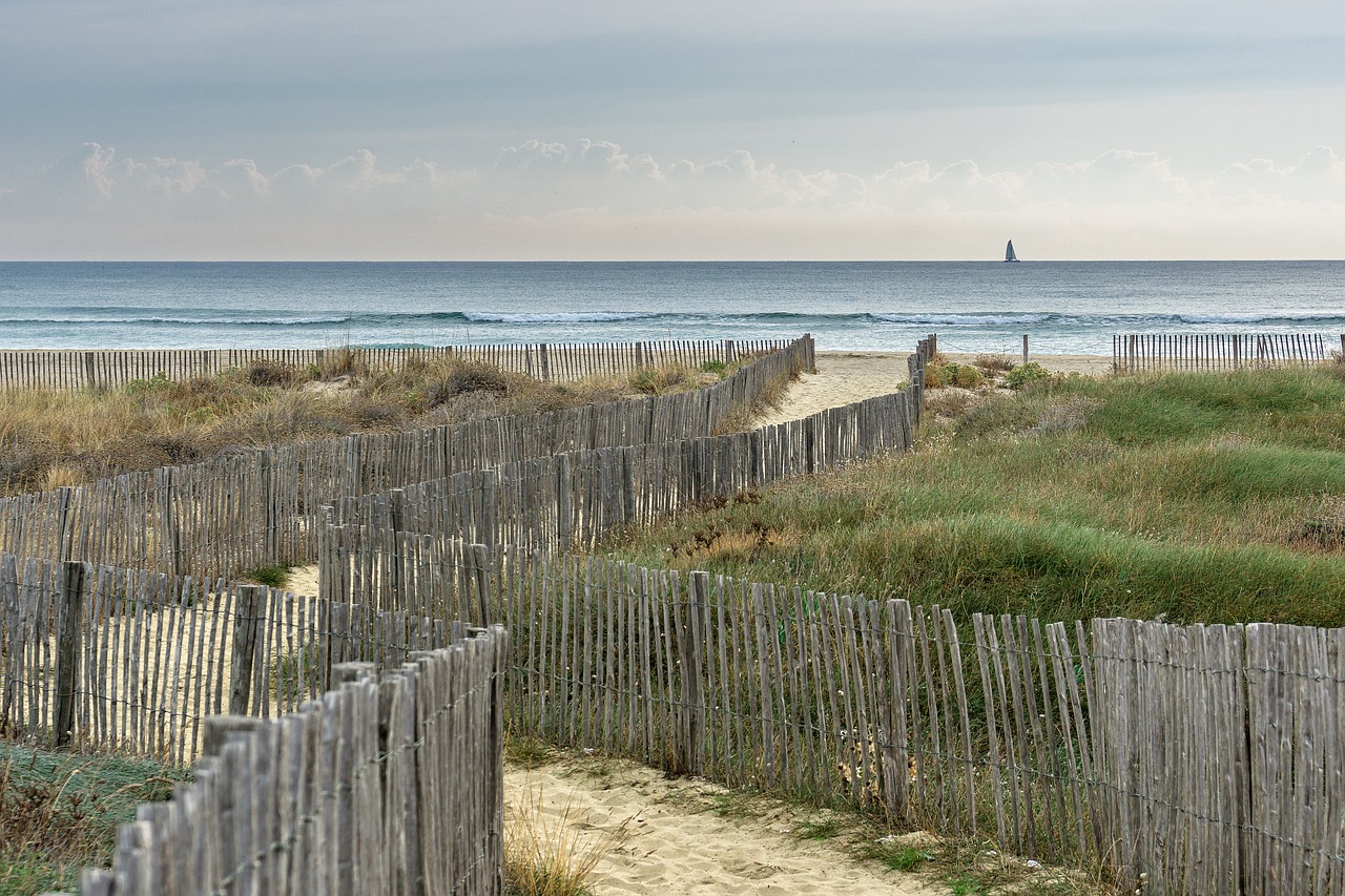 landscape beach dunes free photo