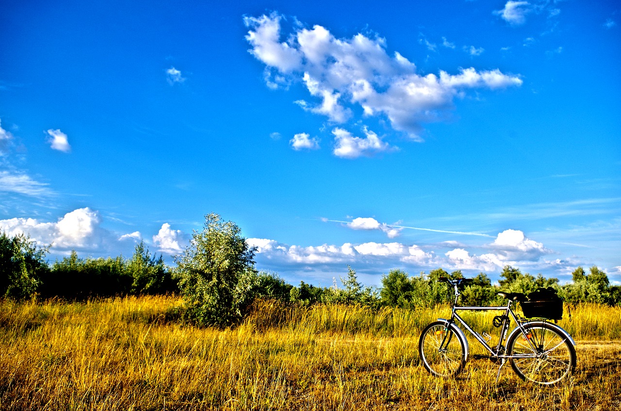 landscape field bike free photo