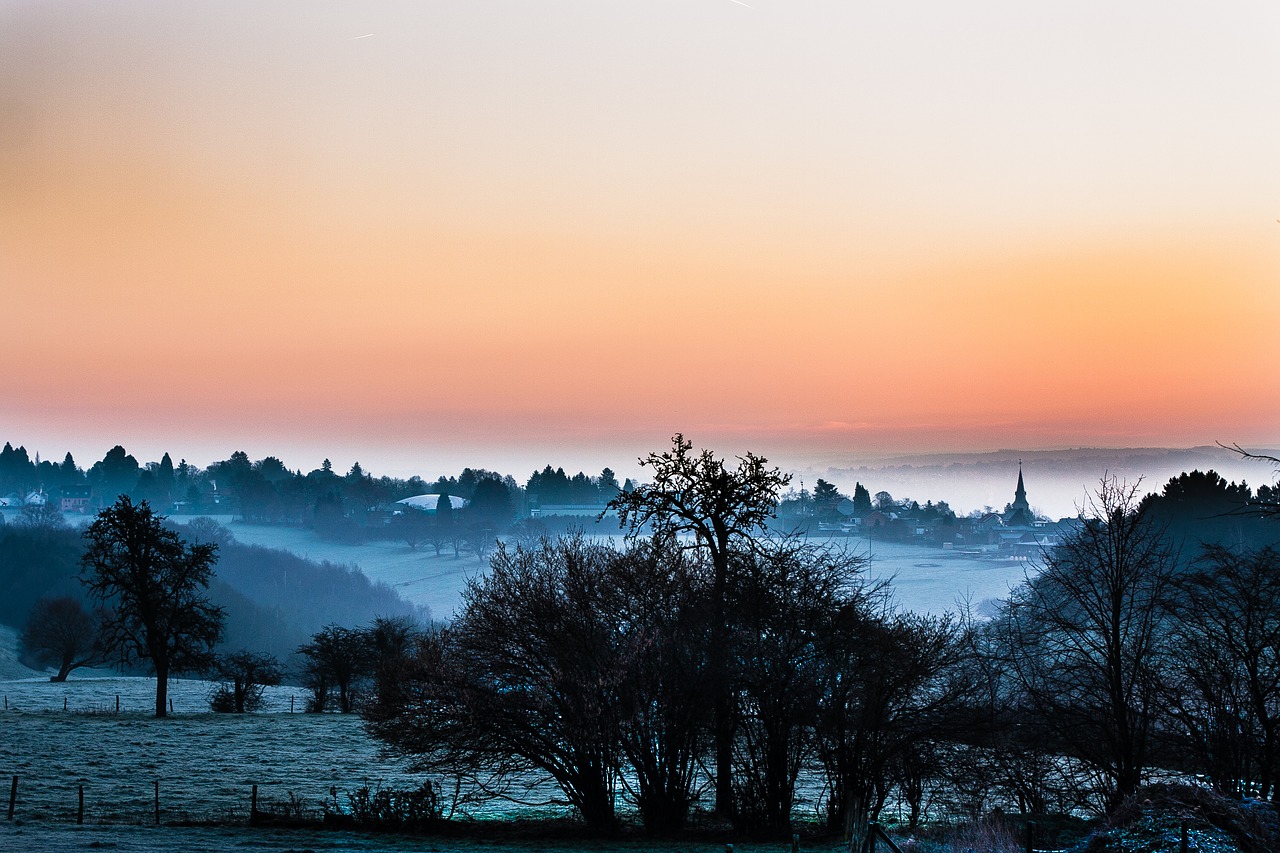 landscape mist dawn free photo