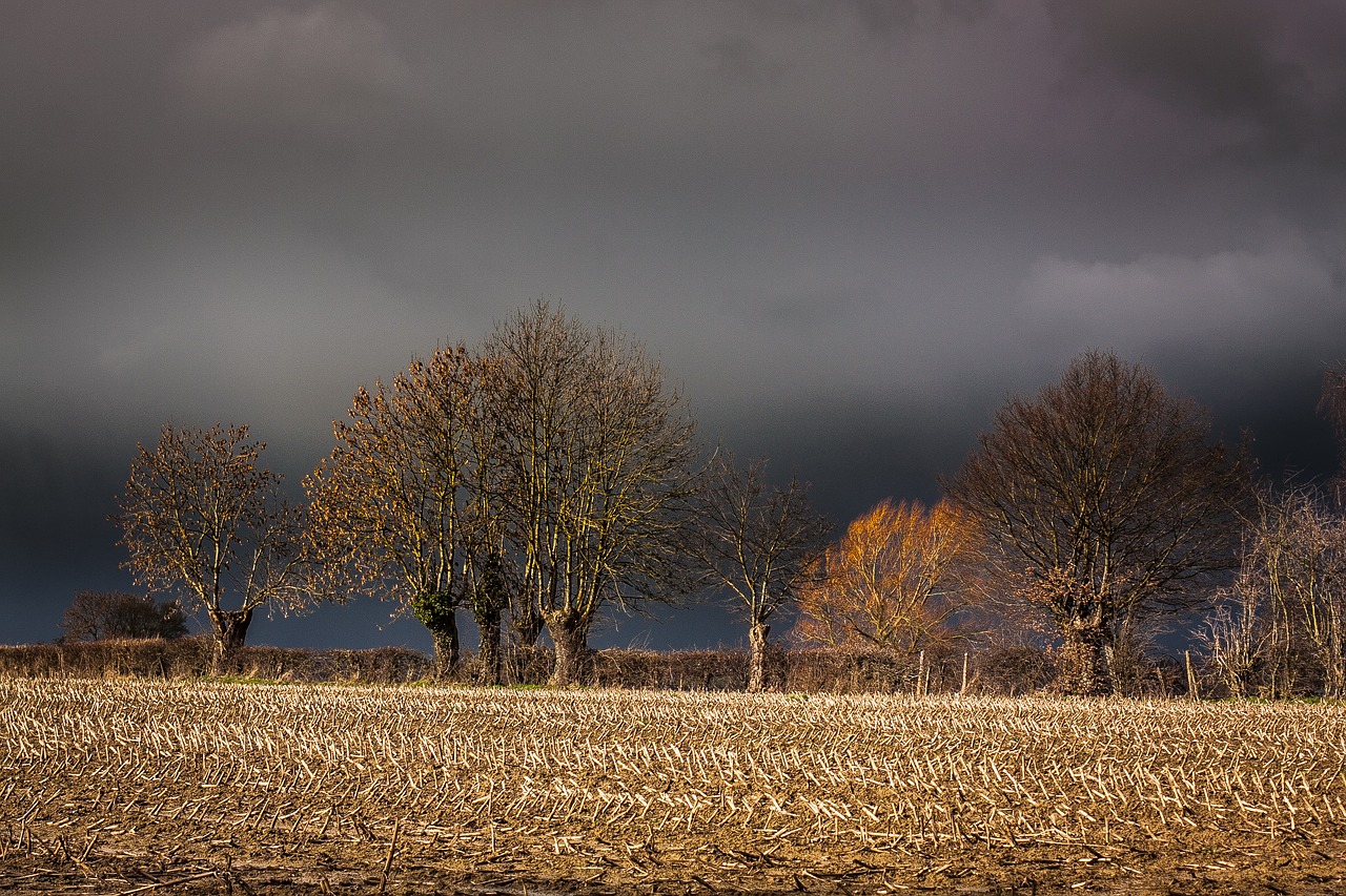 landscape storm clouds free photo