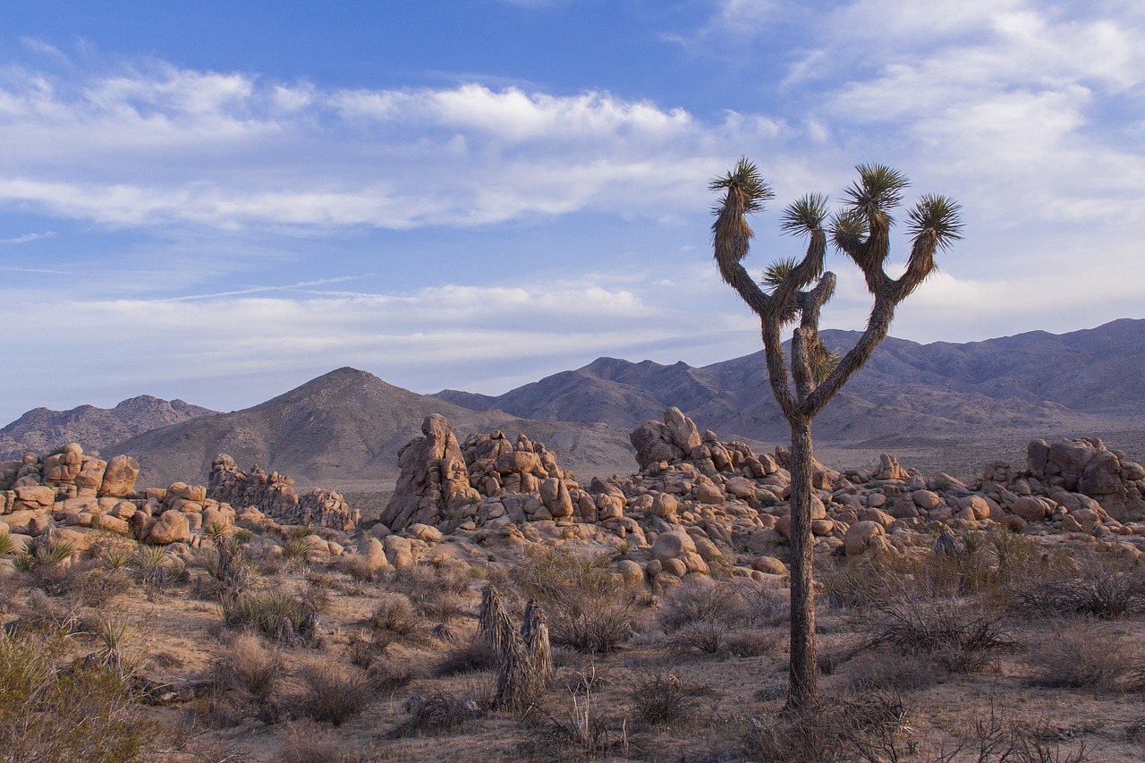 landscape desert nature free photo