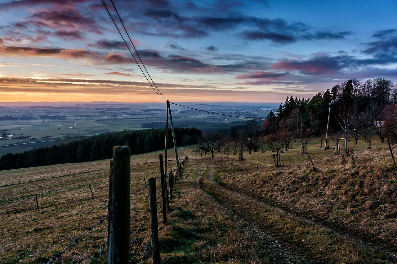 landscape green nature free photo