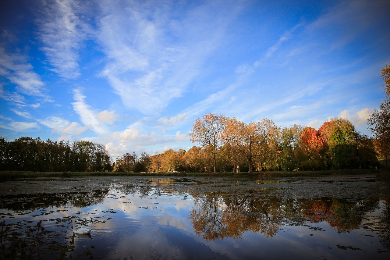 landscape twilight lake free photo