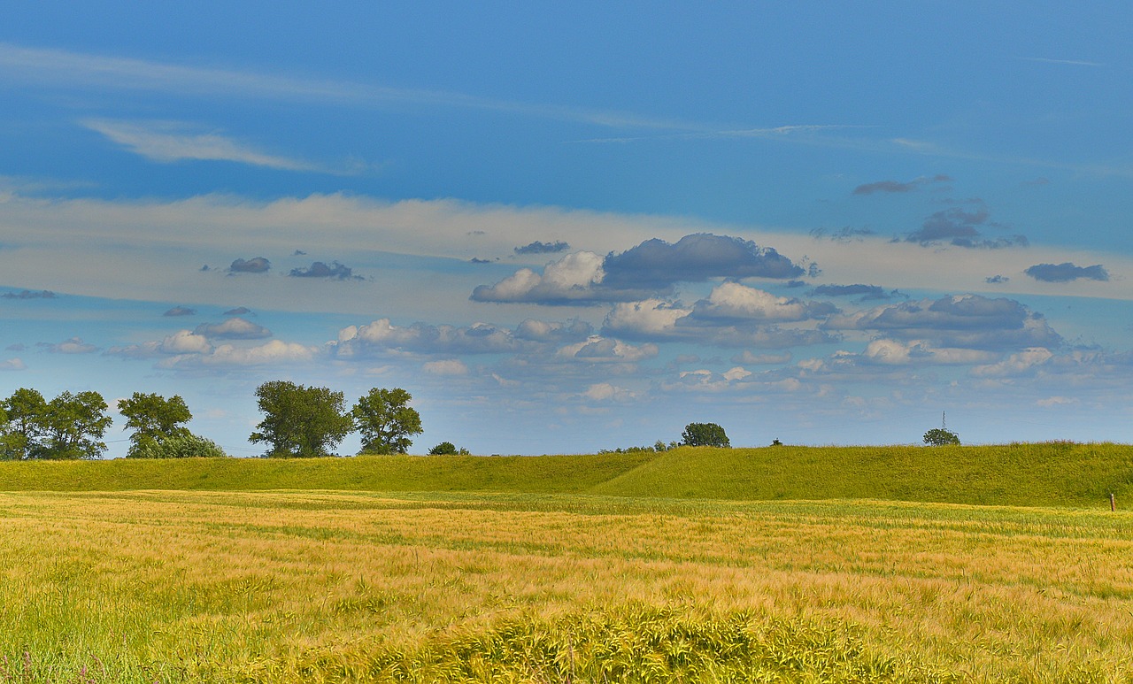 landscape sky cornfield free photo