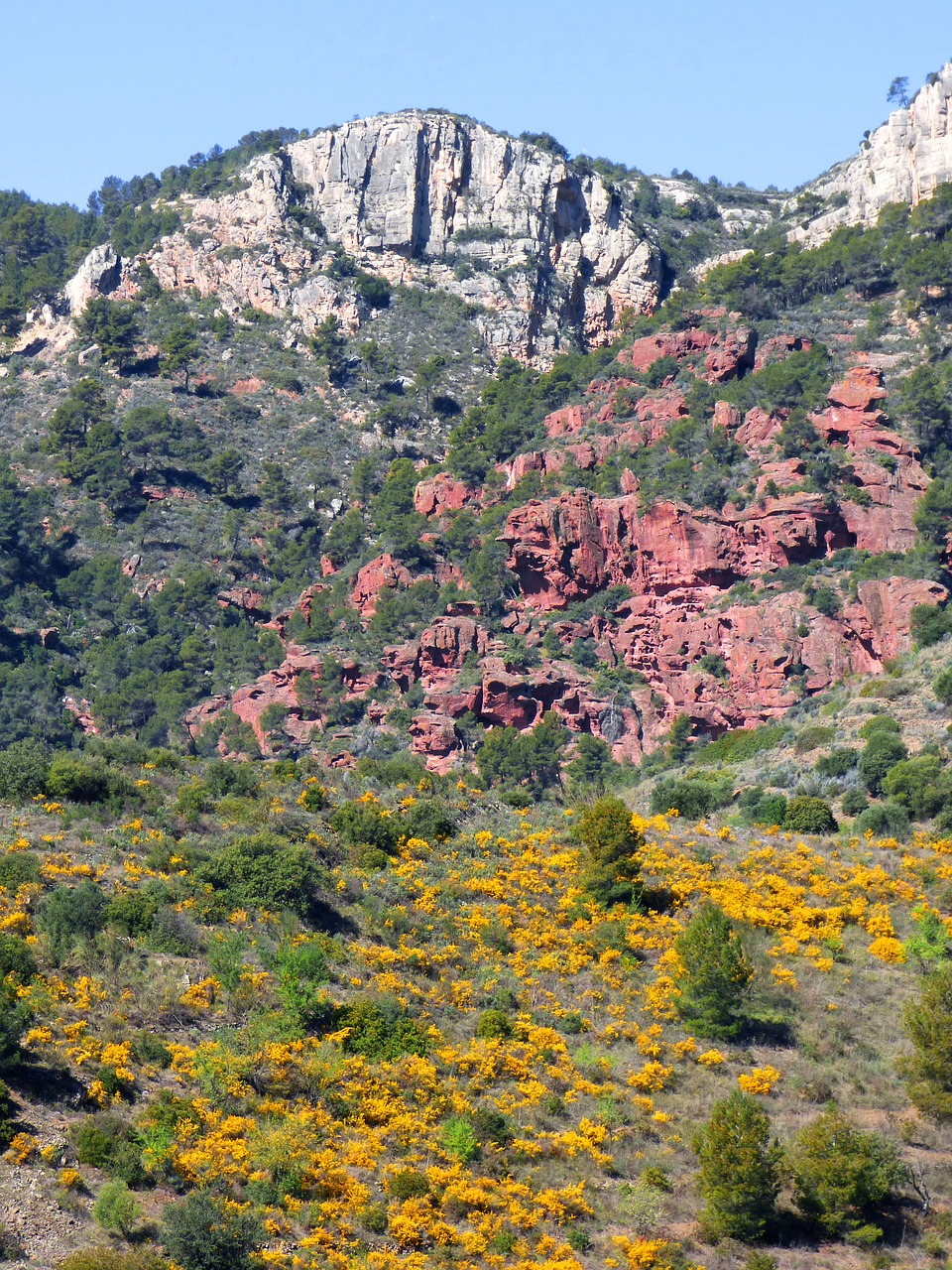 landscape priorat red sandstone free photo