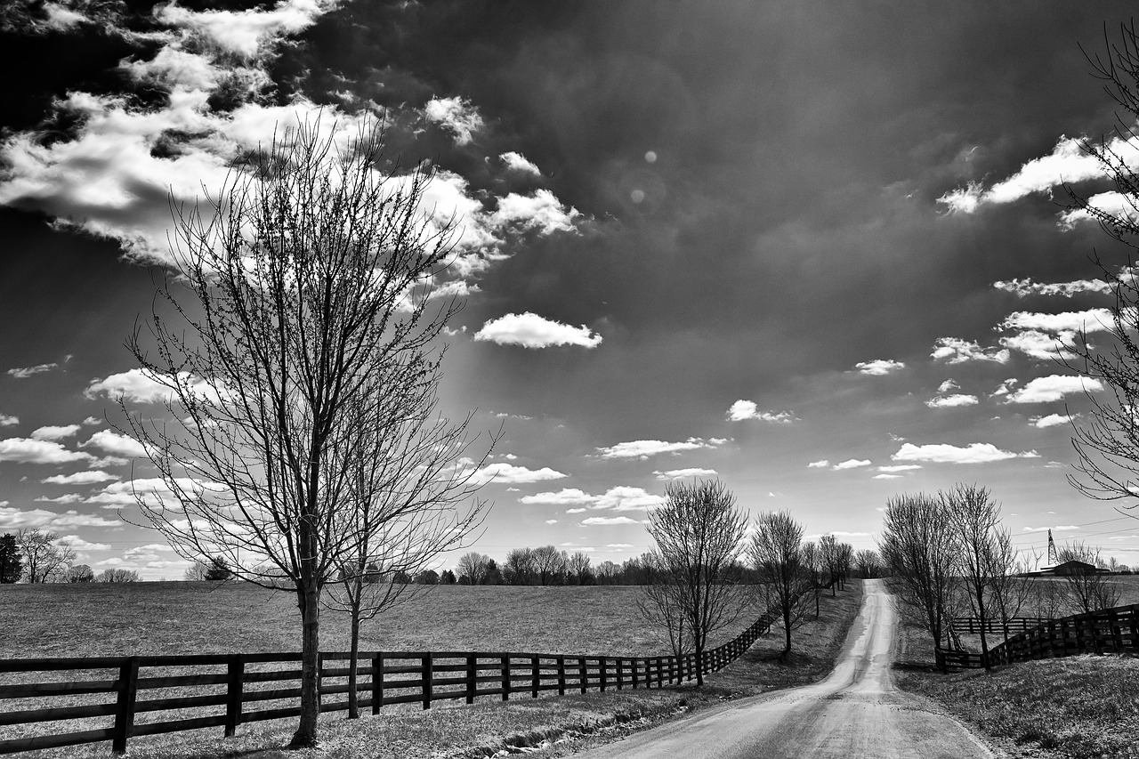 landscape blackandwhite monochrome free photo