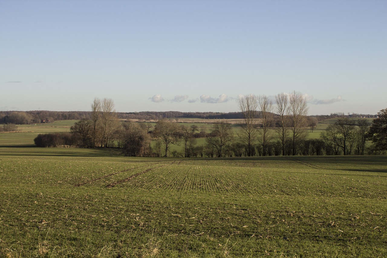 landscape nature meadow free photo