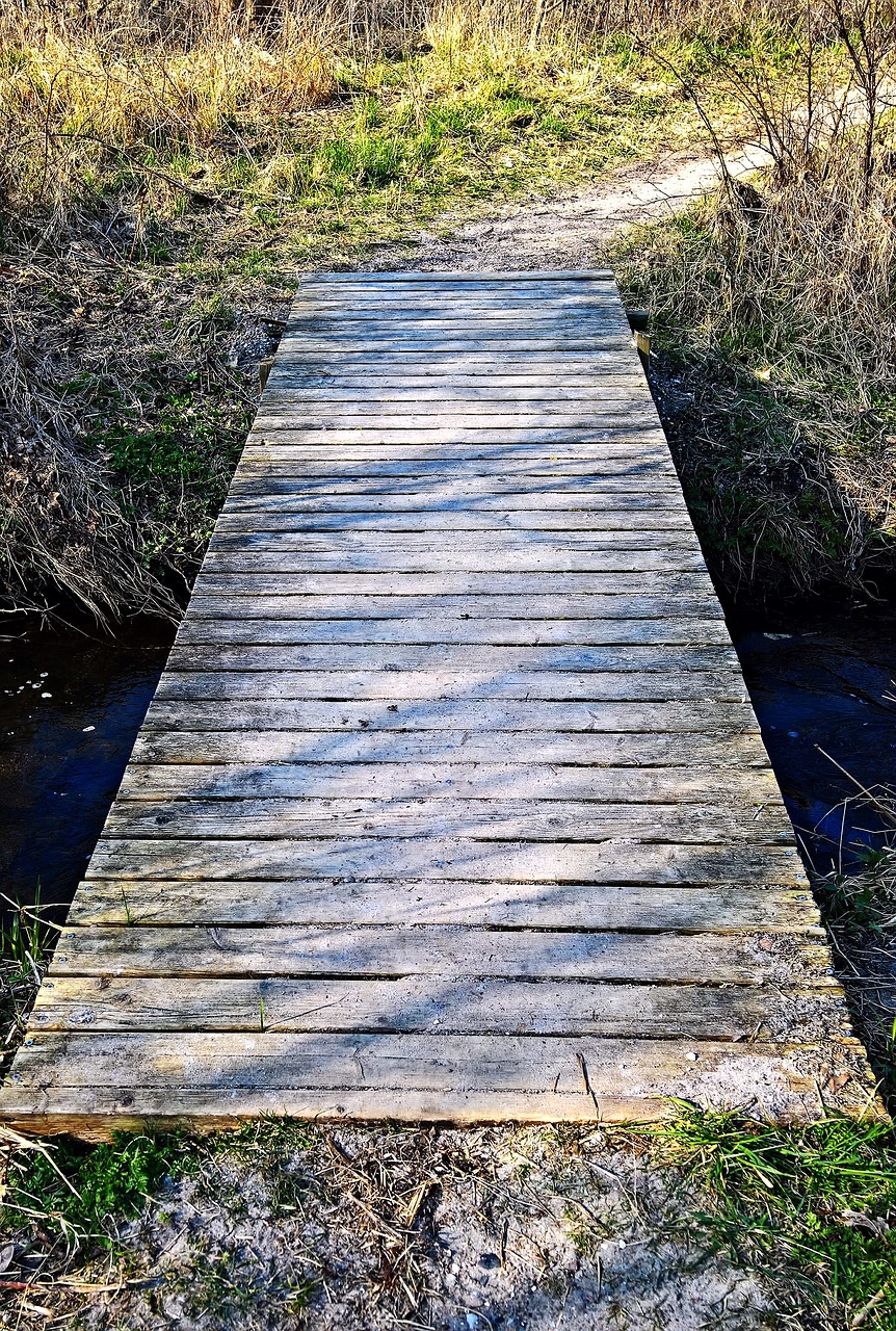 landscape bridge web free photo