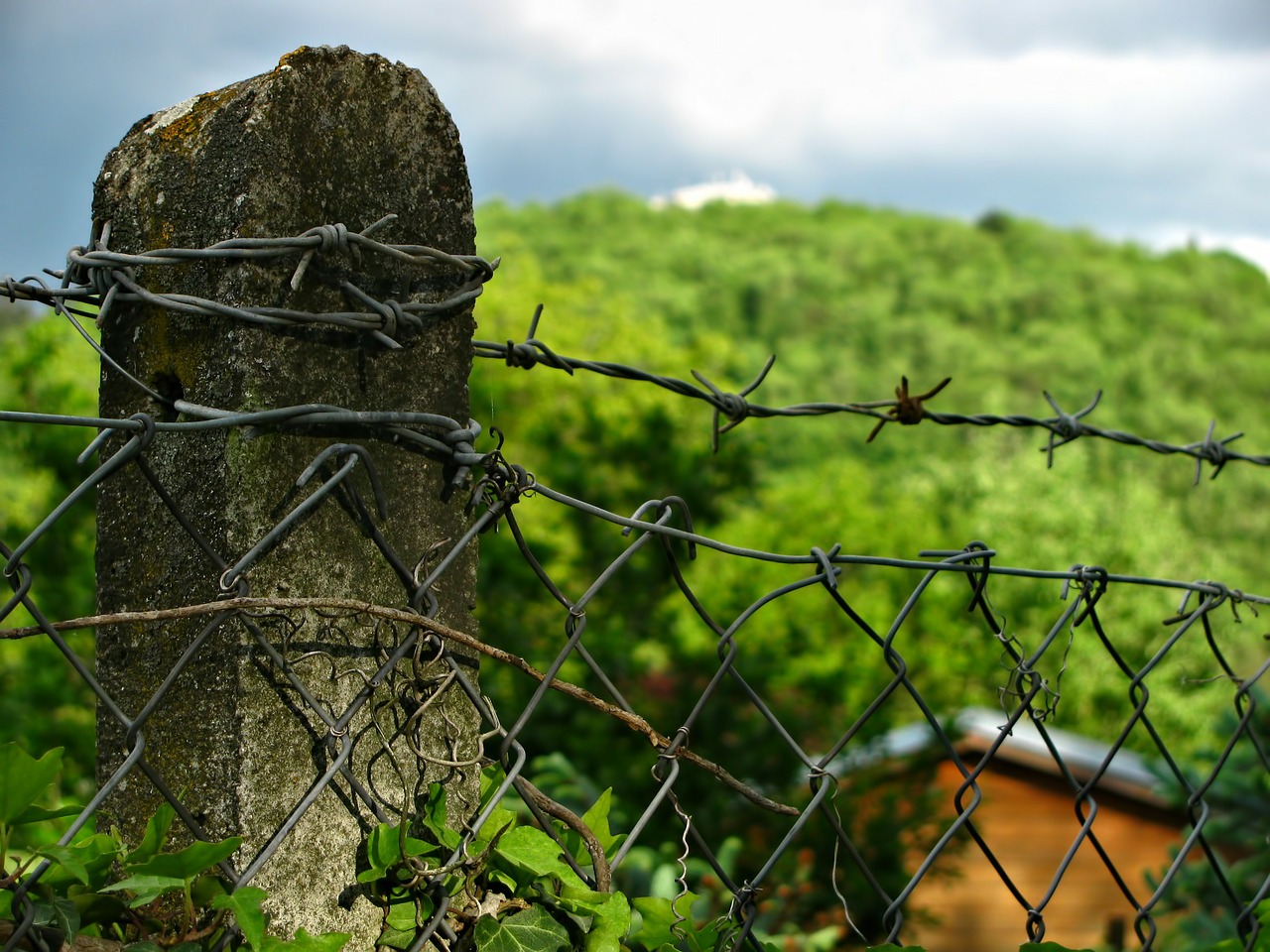 landscape fence colors free photo