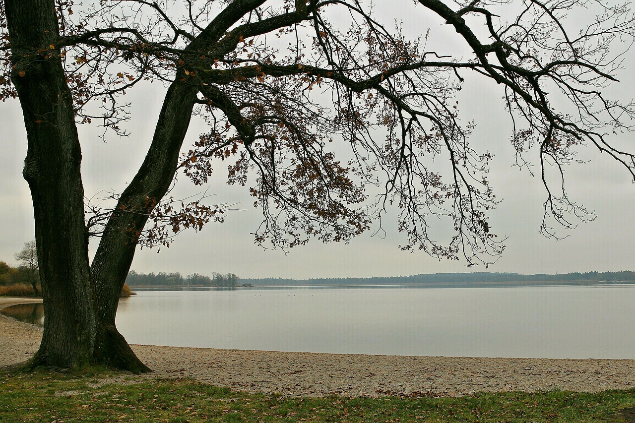 landscape nature lake free photo