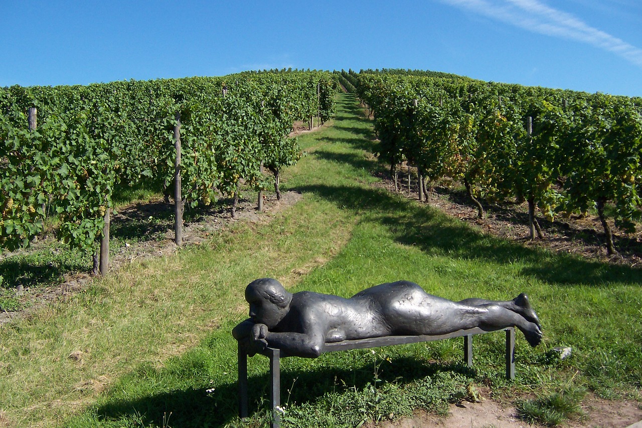 landscape sculpture vineyard free photo