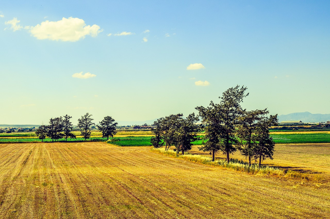 landscape rural countryside free photo